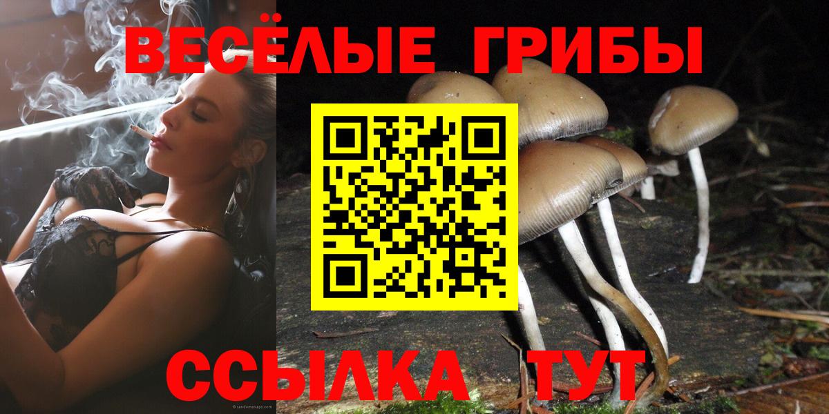 Нижневартовск  Псилоцибиновые грибы мухоморы  Псилоцибиновые грибы прущие грибы  закладка  Вход с VPN 